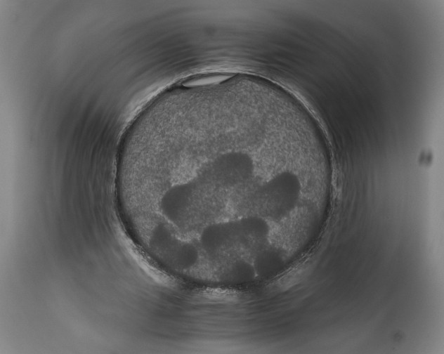 X0000114620437200911101217