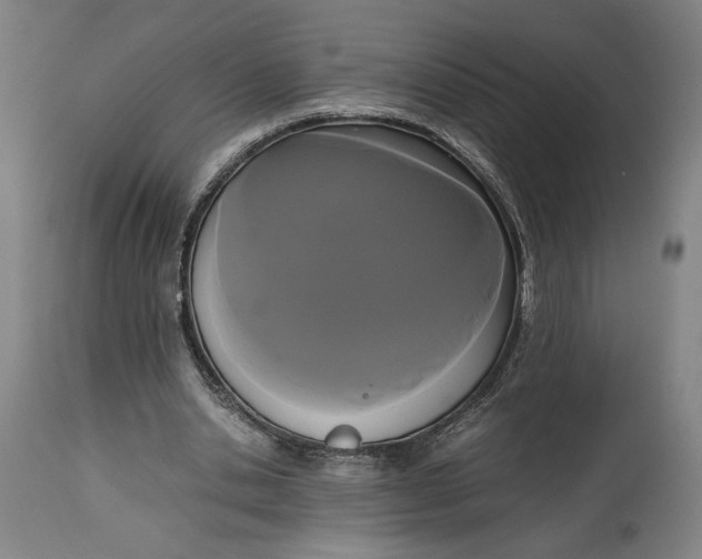 X0000114620438200911101217