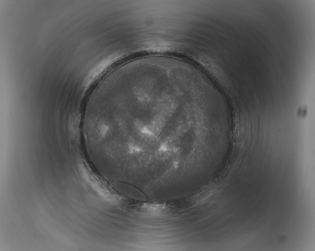 X0000114620440200911101217