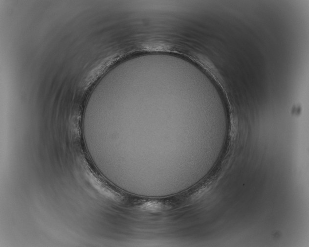X0000114620441200911101218