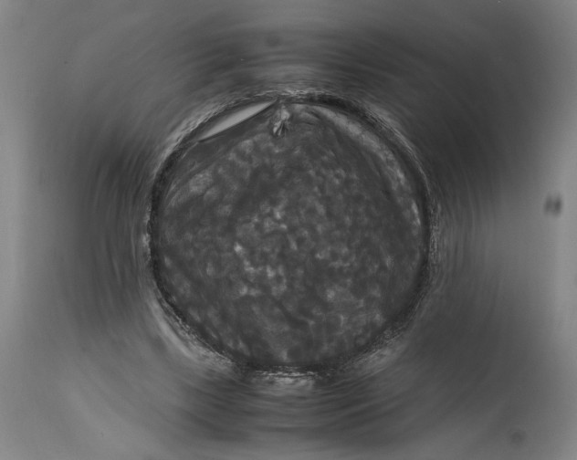 X0000114620443200911101218