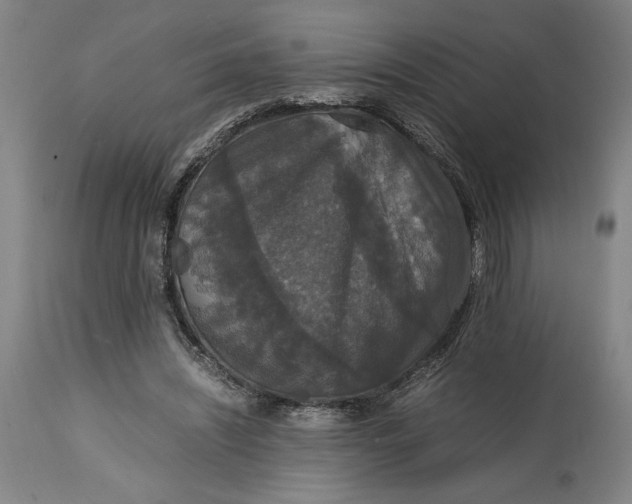 X0000114620444200911101218