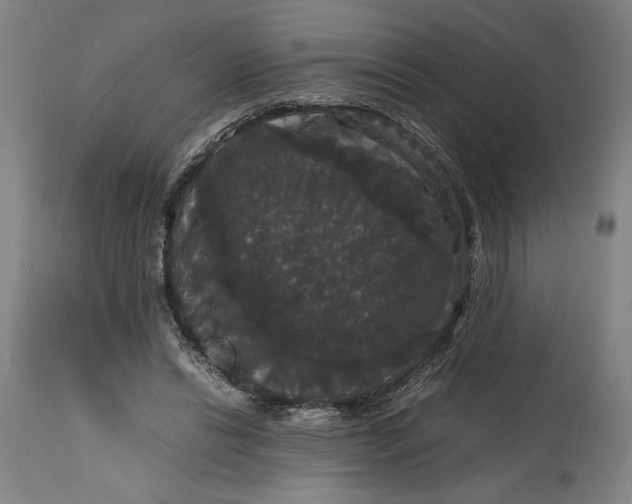 X0000114620446200911101218