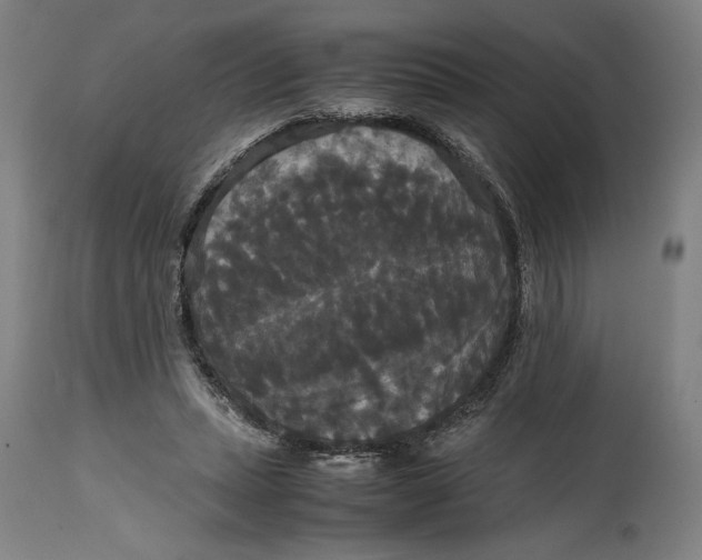 X0000114620447200911101218