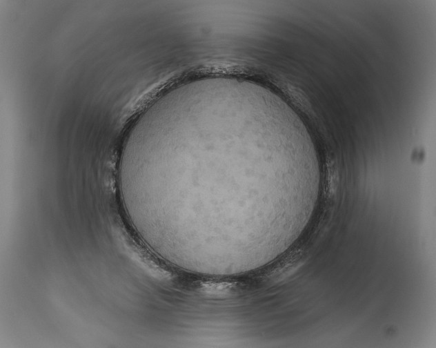 X0000114620450200911101218