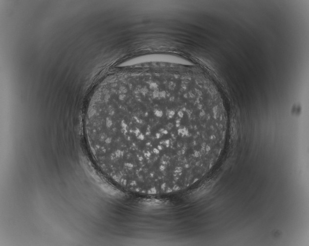 X0000114620453200911101218