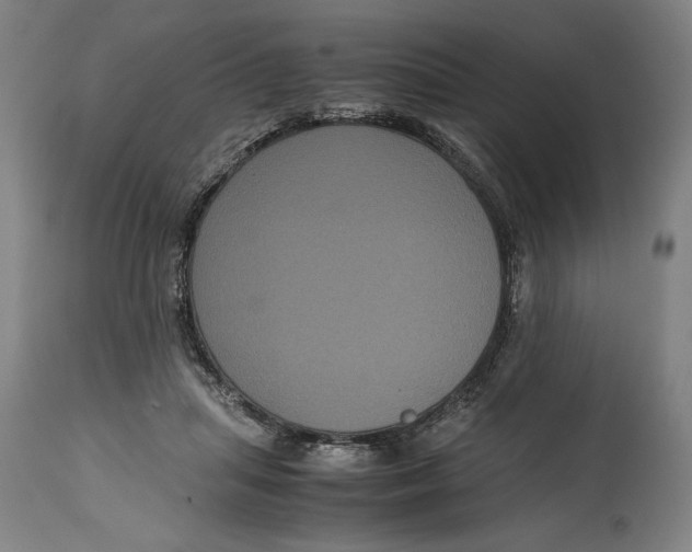 X0000114620455200911101218