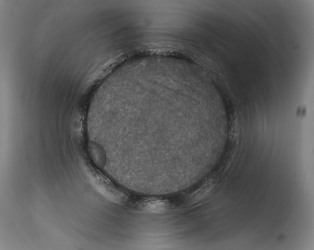 X0000114620456200911101218