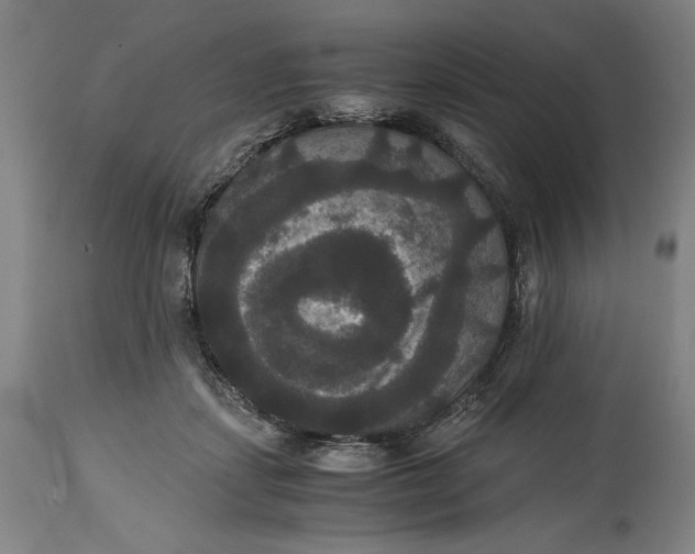 X0000114620459200911101218