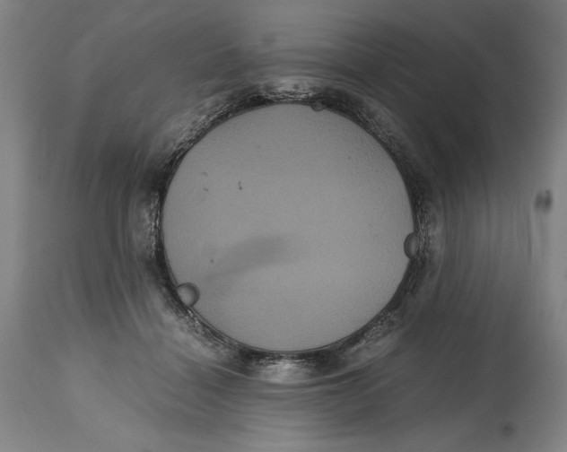 X0000114620460200911101218