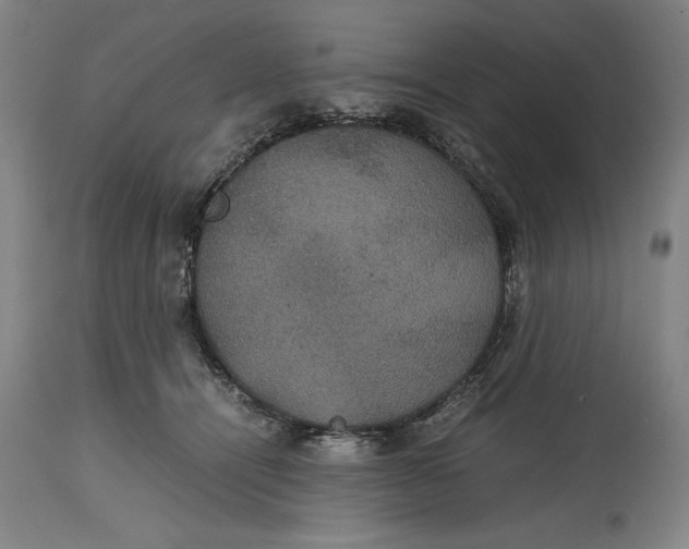 X0000114620464200911101218
