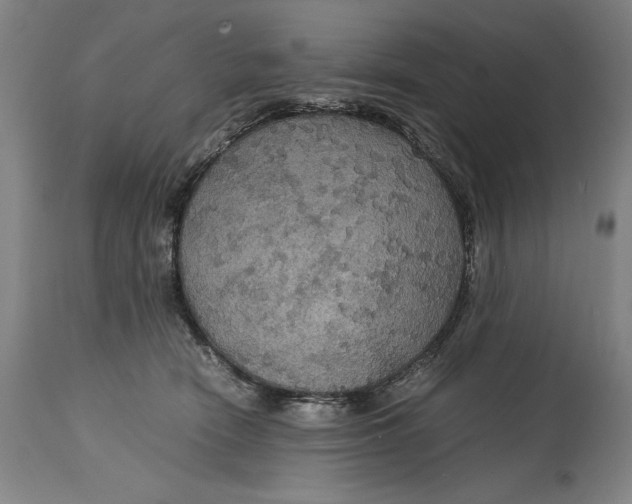 X0000114620466200911101218