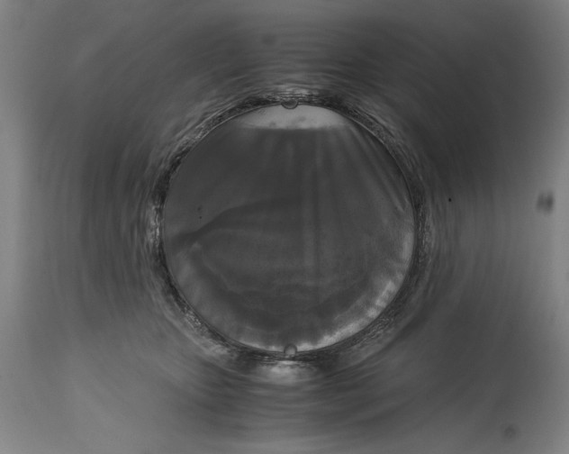 X0000114620467200911101218