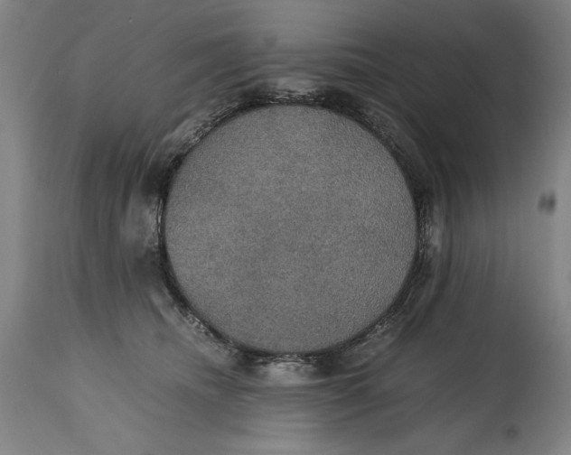 X0000114620468200911101218