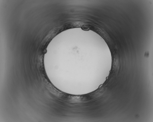 X0000114620473200911101218