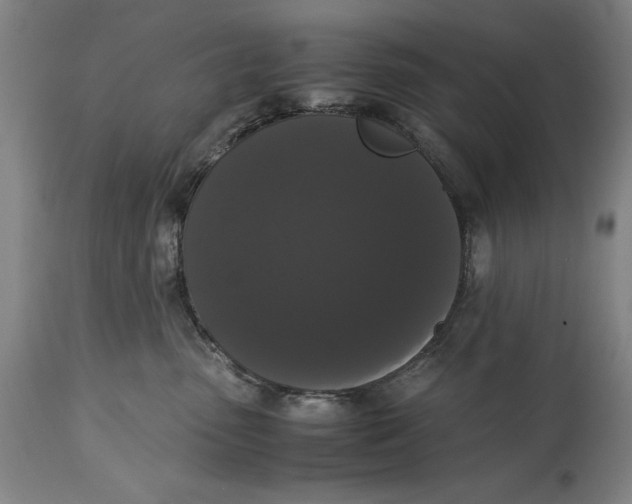 X0000114620475200911101218