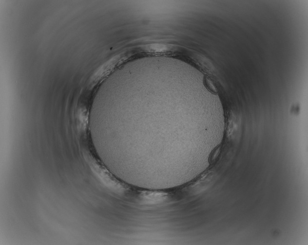 X0000114620476200911101218