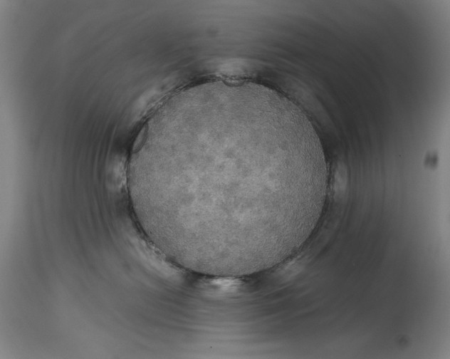 X0000114620478200911101218
