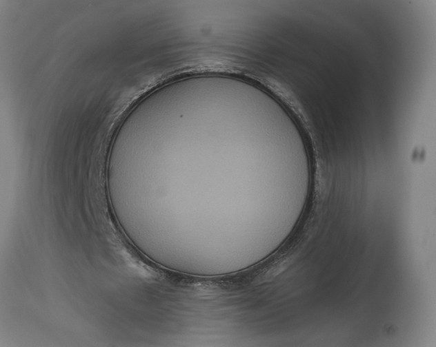 X0000114620481200911101217
