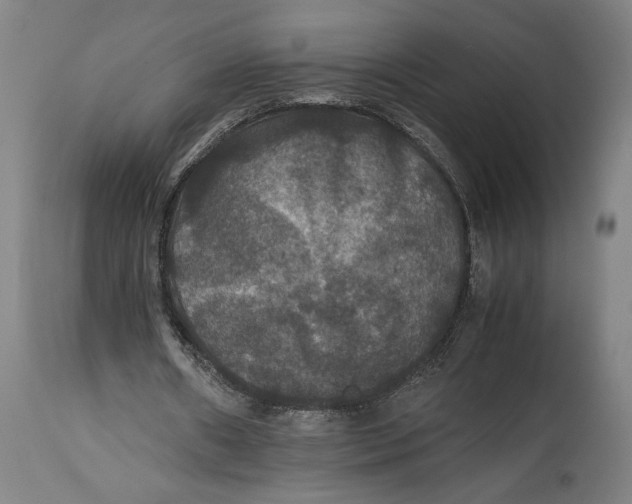 X0000114620482200911101217
