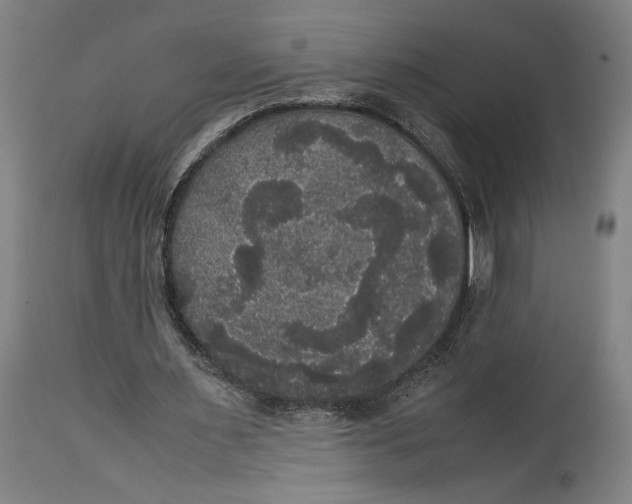 X0000114620483200911101217
