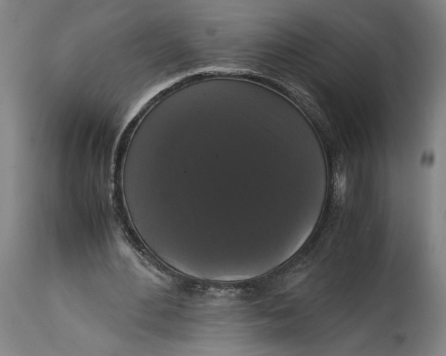 X0000114620484200911101217