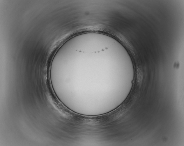 X0000114620486200911101217