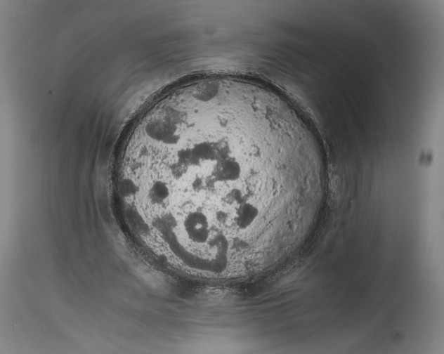 X0000114620487200911101217