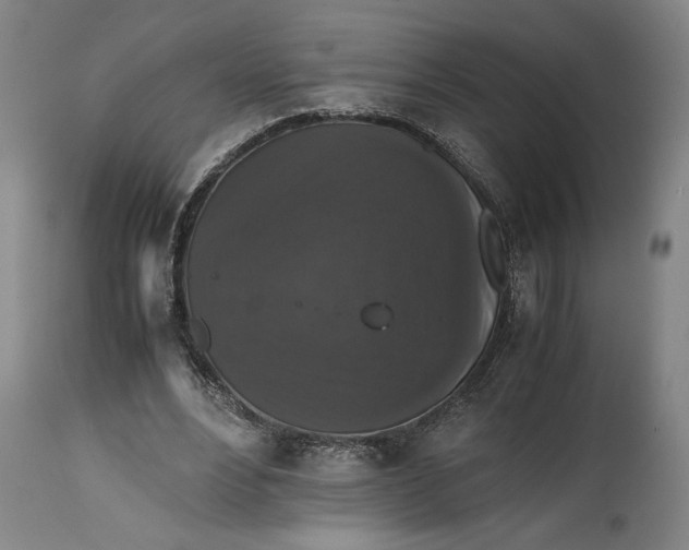 X0000114620488200911101217