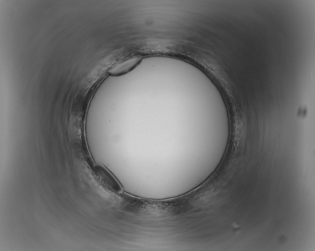 X0000114620489200911101217