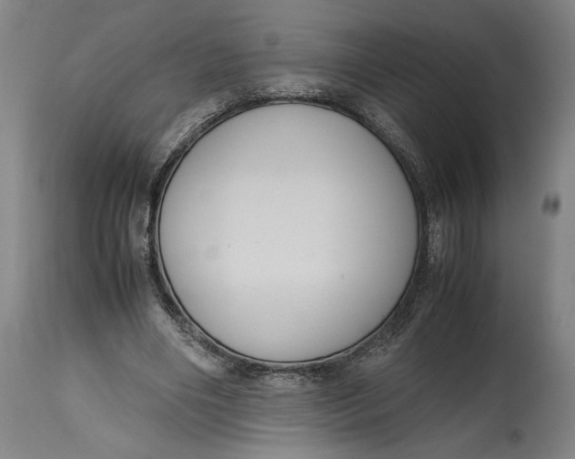 X0000114620490200911101217