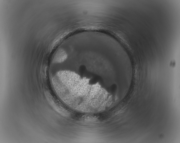 X0000114620491200911101217