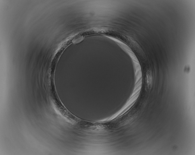 X0000114620492200911101217