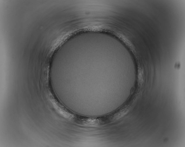 X0000114620493200911101217