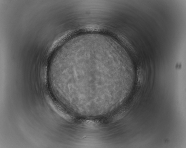 X0000114620494200911101217