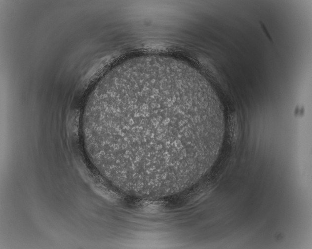 X0000114620495200911101217