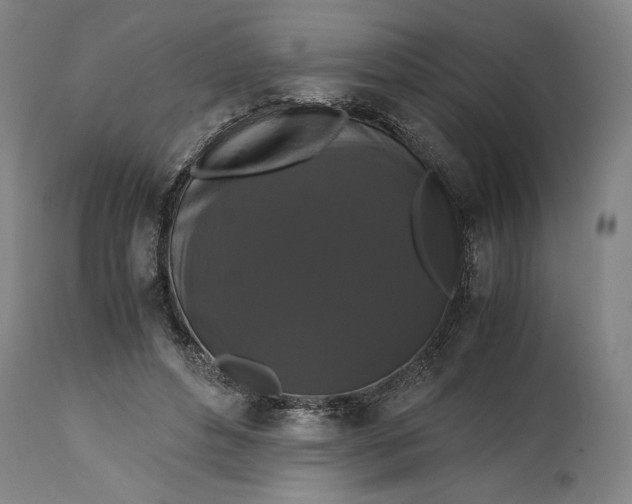 X0000114620496200911101217