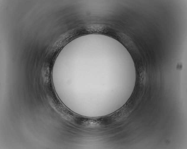 X0000114620498200911101217