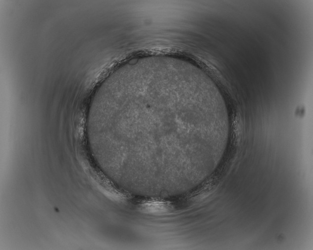 X0000114620499200911101217
