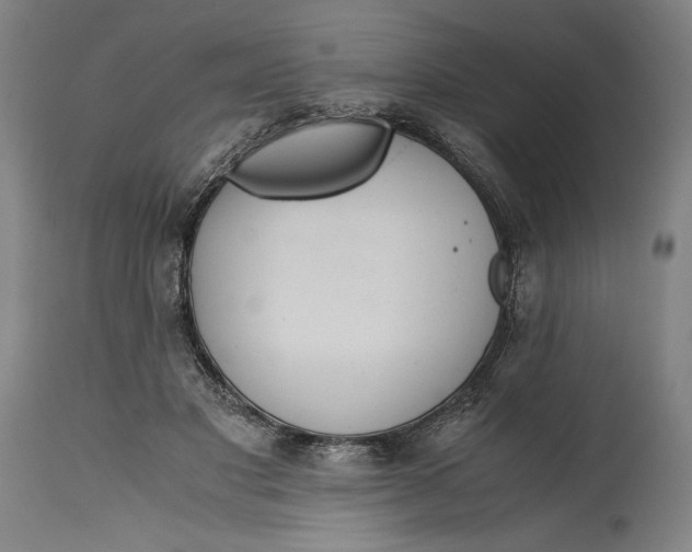 X0000114620501200911101217