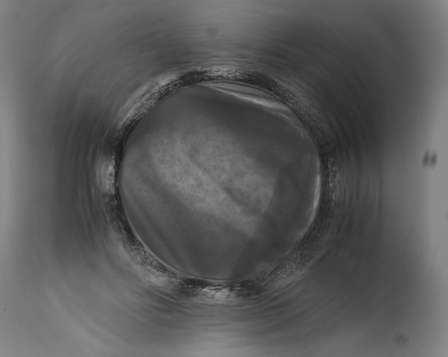 X0000114620502200911101217