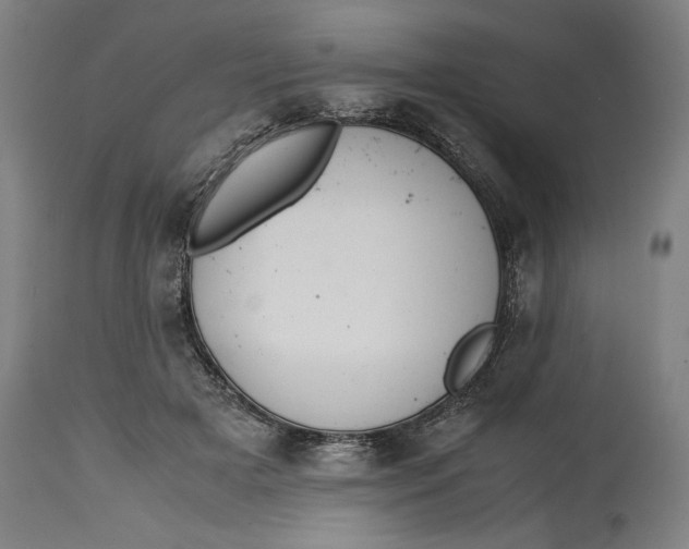 X0000114620505200911101217