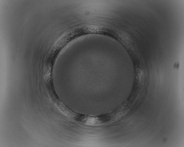 X0000114620507200911101217