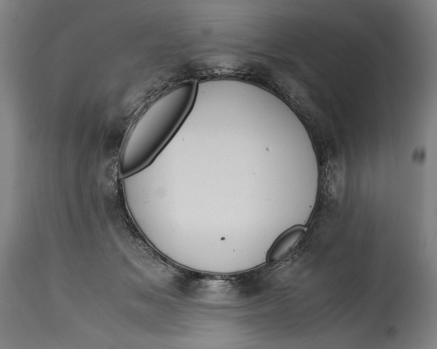 X0000114620509200911101217