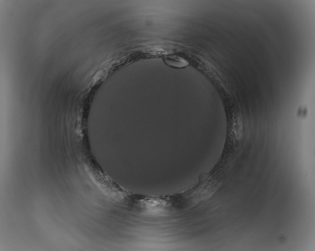 X0000114620512200911101217