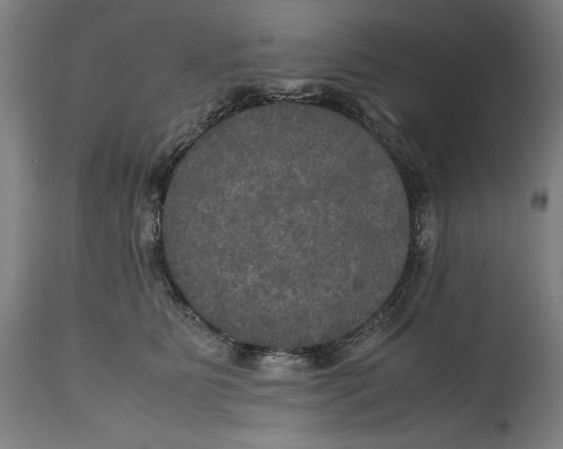 X0000114620515200911101217
