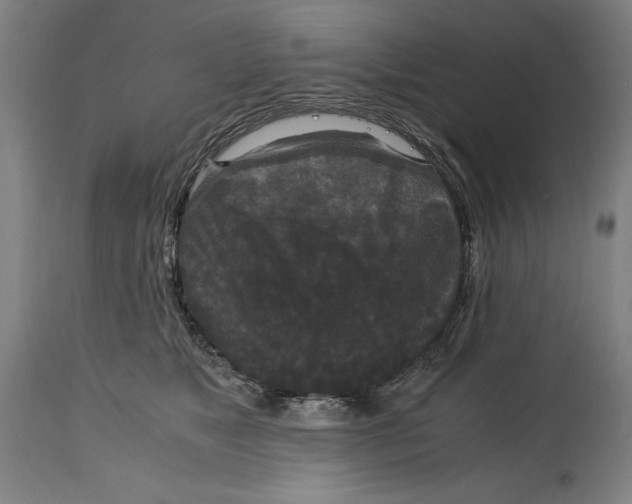 X0000114620517200911101217