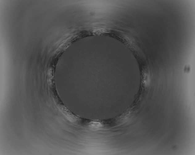 X0000114620519200911101217