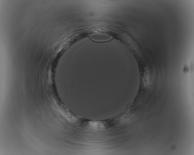 X0000114620520200911101217
