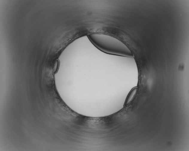 X0000114620521200911101217